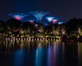 Mesmerizing scenery of Gardens by the Bay park full of colorful lights during evening time