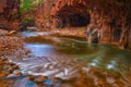 Mesmerizing shot of the amazing pictures of the Salt river in Arizona Royalty Free Stock Photo