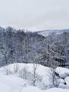Mesmerizing shot of a beautiful winter landscape with snow-covered trees, Larvik, Norway Royalty Free Stock Photo
