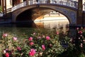 Mesmerizing shot capturing the roses near the Plaza de Espana Seville Spain