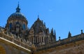 A mesmerizing shot of a faÃÂ§ade of the Salamanca Cathedral in Spain.