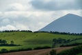 Mesmerizing shot of a grassy hill with a grazing herd, a line of trees foggy mountain in the horizon