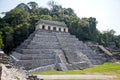 Mesmerizing shot of the Mayan Ruins of Palenque in the jungle