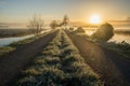 Mesmerizing shot of the sunset and a green grass walkway in the middle of a dirt road Royalty Free Stock Photo