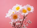 Mesmerizing Snow-Covered Flowers on a Vibrant Pink Background: A Winter Wonderland Royalty Free Stock Photo