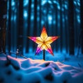Starlight Serenade in a Snowy Symphony