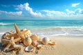 Mesmerizing Starfish & Seashells Adorn Beach