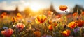 A mesmerizing summer affair with enchanting blooming wildflowers in beautiful bokeh blur