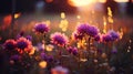 A mesmerizing summer love affair with ethereal bokeh and blooming wildflowers in a dreamy setting