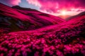 A mesmerizing summer mountain slope adorned with an endless carpet of vibrant pink rhododendron flowers, their petals seeming to