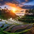 Mesmerizing sunrise and sunset vistas in Bali Royalty Free Stock Photo