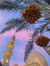 A mesmerizing sunset frames a mosque with its graceful minaret, dome, and date palm trees, creating a serene tableau.