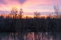 Mesmerizing sunset over the cottonwoods at the shore