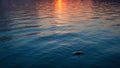 Mesmerizing sunset reflections on a tranquil lake Royalty Free Stock Photo