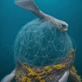 Sea Turtle eat plastic bag ocean pollution concept Fishing net