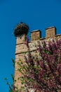 Mesmerizing view of a beautiful Tower of Catholic Diocese of Alcala de Henares, Spain