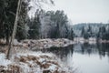 Mesmerizing view of a beautiful wild forest in the wintertime by the river Royalty Free Stock Photo