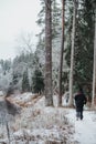 Mesmerizing view of a beautiful wild forest in the wintertime by the river with a walking tourist Royalty Free Stock Photo