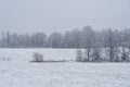 Mesmerizing view of a beautiful winter landscape