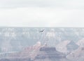 Mesmerizing view of an eagle flying over Grand Canyon in Arizona Royalty Free Stock Photo