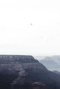 Mesmerizing view of an eagle flying over Grand Canyon in Arizona Royalty Free Stock Photo