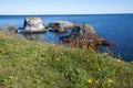 Mesmerizing view of the Gatklettur natural attraction in Arnarstapi, Iceland