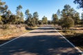 Mesmerizing view of a long rural road between tr