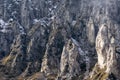 Mesmerizing view of partially snow-covered mossy rocks