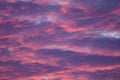 Mesmerizing view of pink clouds at sunset - perfect for wallpaper