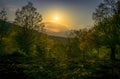 Mesmerizing view of the sunrise over the forest full of trees with mountains in the background Royalty Free Stock Photo