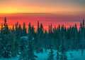 Mesmerizing view of  a sunset over a snowy forest Royalty Free Stock Photo