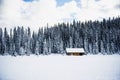 View to wooden house in the yard next to the winter forest with tall pine trees covered in snow Royalty Free Stock Photo