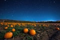 A mesmerizing view of a vast field filled with pumpkins beneath a beautifully illuminated night sky, A brightly lit pumpkin patch