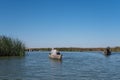 Mesopotamian / Iraqi Marshes with the so called Marsh Arabs Royalty Free Stock Photo