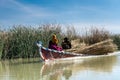 Mesopotamian / Iraqi Marshes with the so called Marsh Arabs Royalty Free Stock Photo