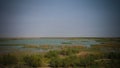 Mesopotamian Marshes, habitat of Marsh Arabs aka Madans Basra Iraq Royalty Free Stock Photo