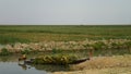 Mesopotamian Marshes, habitat of Marsh Arabs aka Madans Basra Iraq Royalty Free Stock Photo