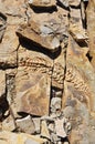 Mesosaurus stone reliefs at Spitzkoppe Farm near Keetmanshoop in Karas.