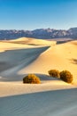 Mesquite Dunes in Death Valley National Park at Sunrise