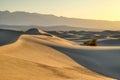 Mesquite Dunes in Death Valley National Park at Sunrise