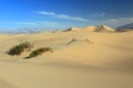 Death Valley National Park Mesquite Flat Sand Dunes in Morning Light, California, USA Royalty Free Stock Photo