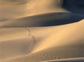 The Mesquite Sand Dunes in Death Valley Royalty Free Stock Photo