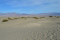 Mesquite Sand Dunes Death Valley Southern California