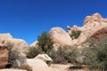 Mesquite trees and scrub brush growing in unique rock formations at Hidden Valley Picnic Area Trail in Joshua Tree National Park Royalty Free Stock Photo