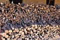 Mesquite wood pile located in Cochise County, Saint David, Arizona Royalty Free Stock Photo