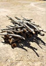 Mesquite wood pile located in Cochise County, Saint David, Arizona Royalty Free Stock Photo