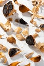 Mess on the kitchen table with peel and fermented garlic cloves. Cloves of black garlic lying on a white background. Fermented