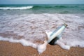 Sea. Message in the bottle on the beach. Seascape Royalty Free Stock Photo