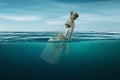 The message in the bottle floats on the sea. View below the sea surface