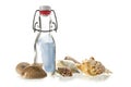 Message in a bottle of glass between some sea shells isolated o Royalty Free Stock Photo